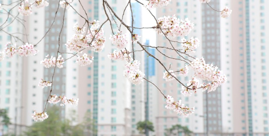 недвижимость, дома, жилье, киев, квартира в новостройке, квартира в киеве,