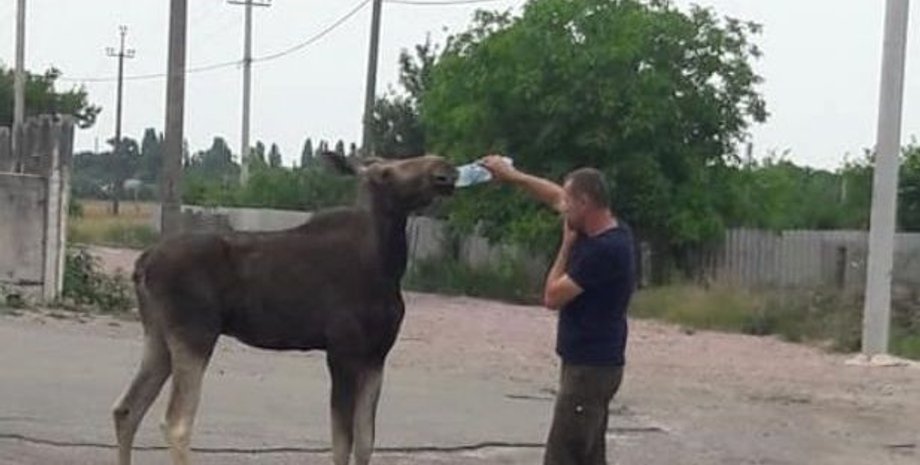 Фото: Facebook / Юлия Прокуда