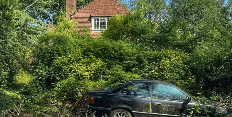 Тут кипіло життя: блогер показав, що лишилося від покинутого маєтку за мільйони