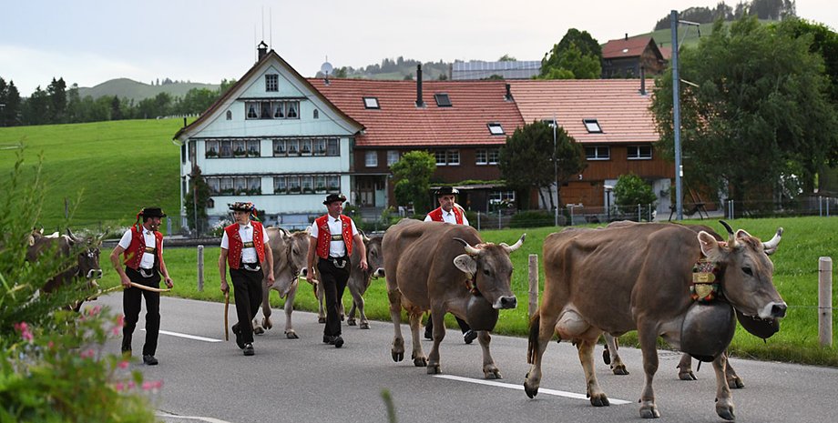 Фото: Getty Images