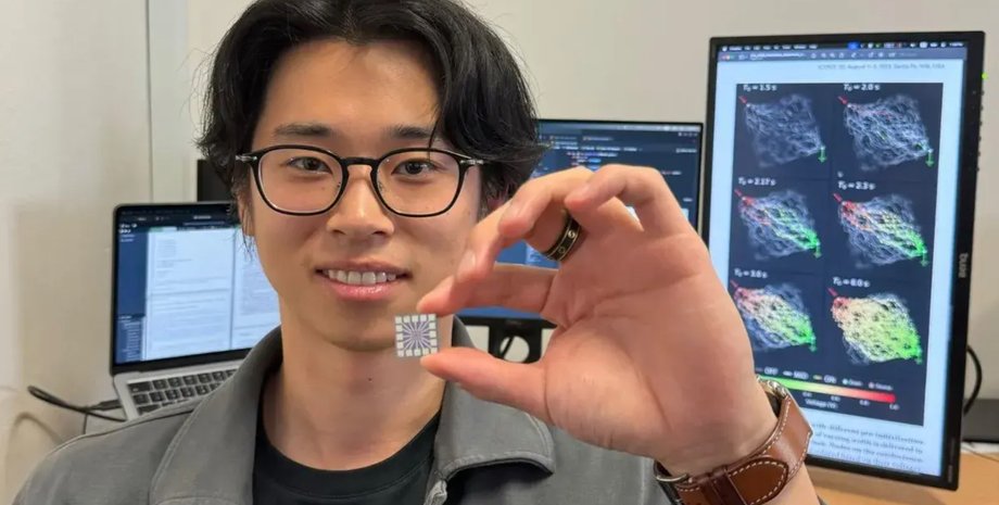 Чип, нейросеть