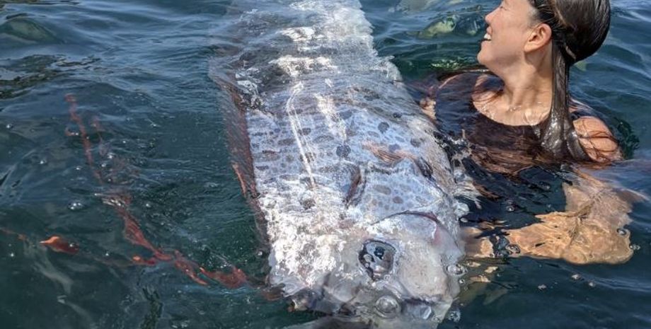 Рыба Судного дня, рыба-веслонос, улов, Алекс Джулиус, рыбалка, находка, курьезы