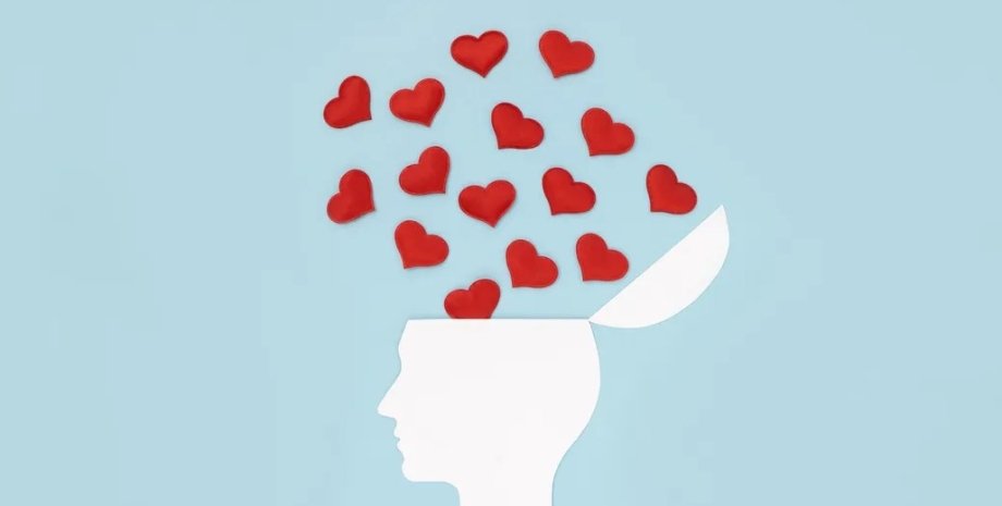 любов, мозок людини, любов і мозок