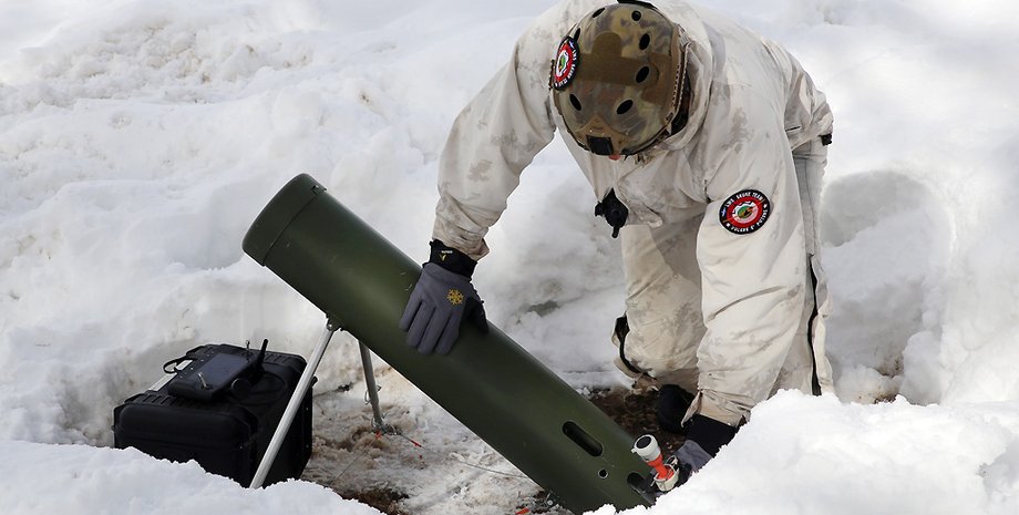 Volpe Bianca2025, Mini Small, Италия