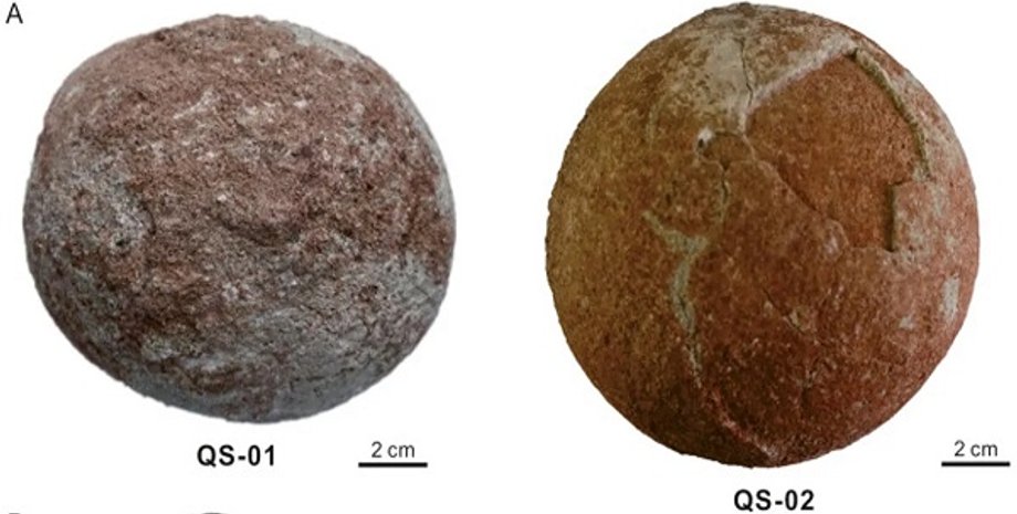 яйца, белый фон, фото