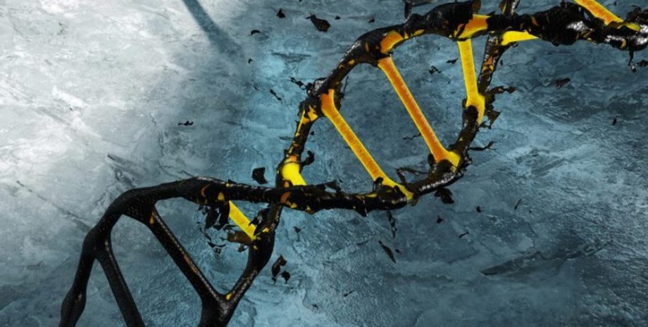 коронавирус, эпидемия, геном