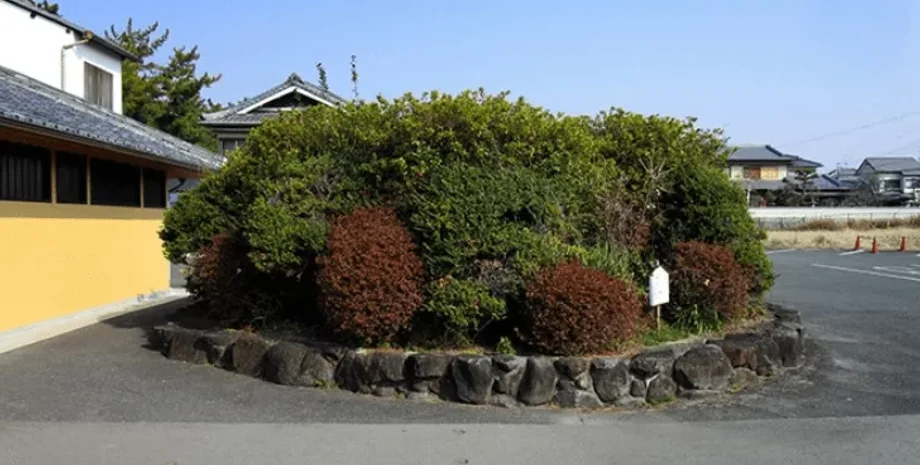 Открытие древней гробницы, Археология, префектура Нара, Япония, история, раскопки, История монастыря Хорюдзи, Монастырь Хорю, Артефакты эпохи принца Сётоку