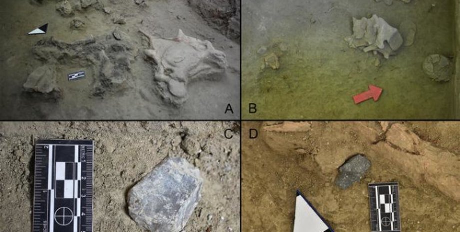 озеро, группа, жизнь, животное, Чили, кость, археологи, археология, растение, кочевники, сезон, Тагуа-Тагуа, охотники, исследования, охота, слон