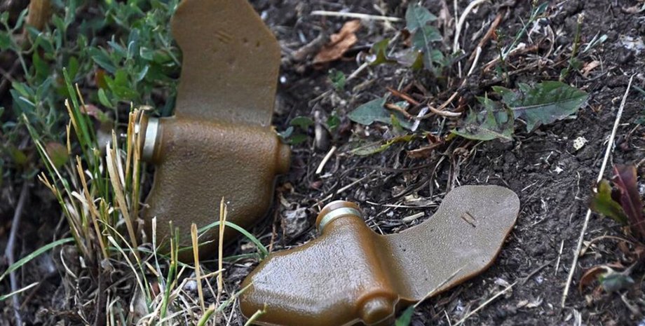 пфм 1, лепесток, противопехотная мина, мины, мина ПФМ-1 "Лепесток"