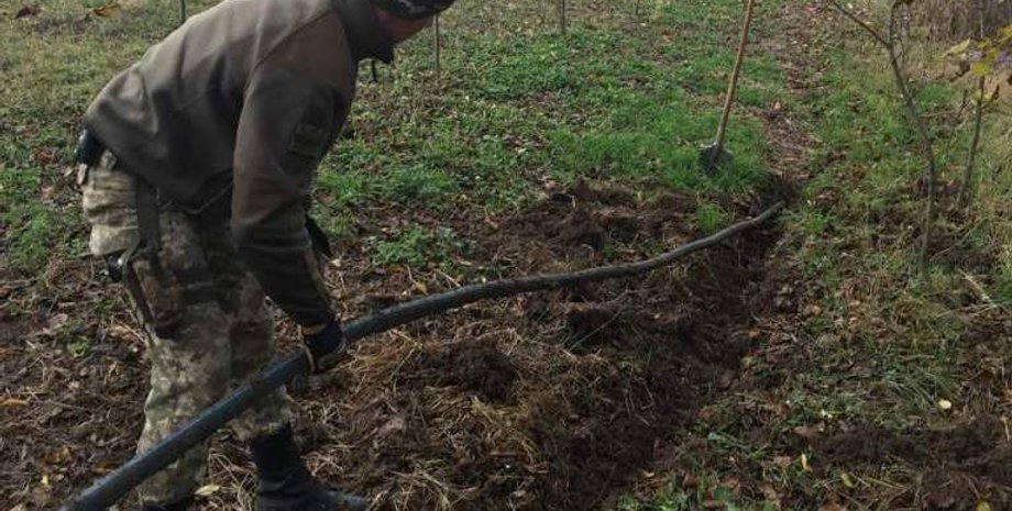 Фото: dpsu.gov.ua