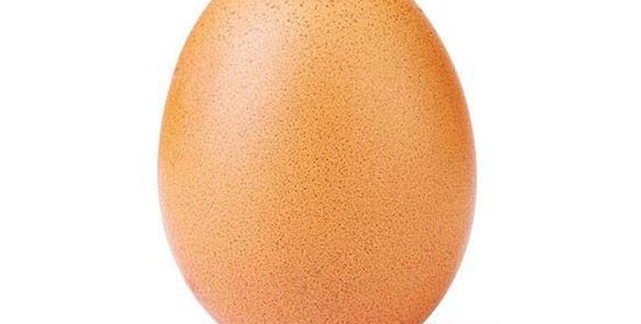 Фото: Instagram/world_record_egg