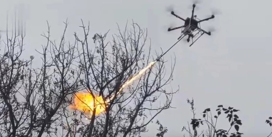 дрон, огнемет, китай, осы, волонтеры