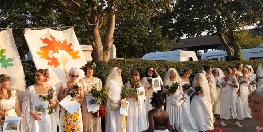 свадьба людей и деревьев в Бристоле