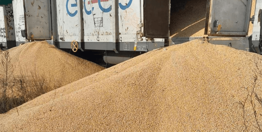 украинское зерно, вагоны, кукуруза, Польша, акт вандализма