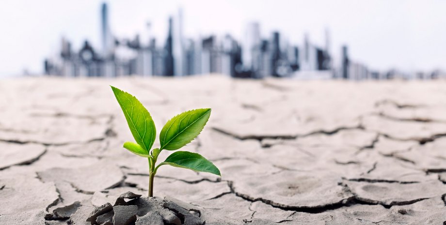 Фото: amphotora/Getty Images