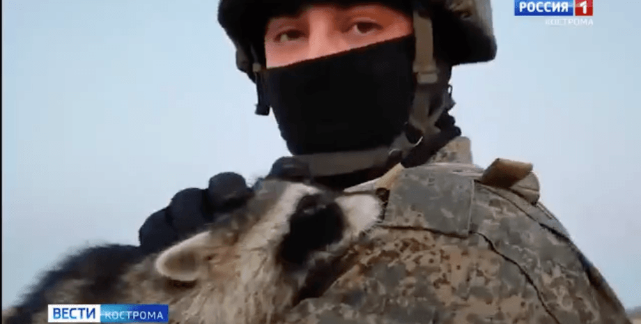 енот из херсона, енот херсон, херсонский енот, херсон енот, енот вдв, вдв енот, енота украли