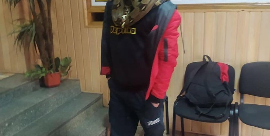 змея, патрульная полиция