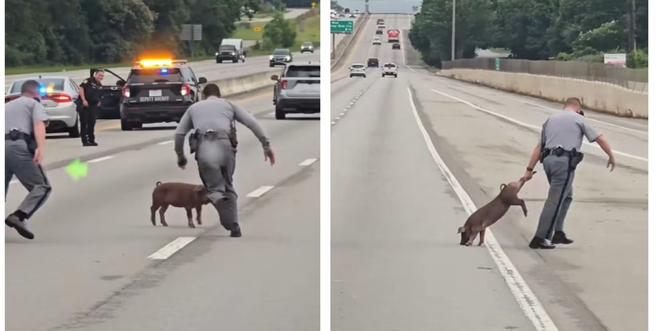 поліція показала кумедні кадри арешту "порушника" на дорозі