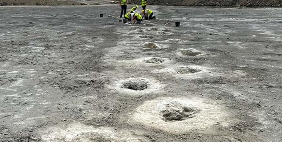 динозаври, сліди динозаври, сліди динозаврів, динозаври знахідка