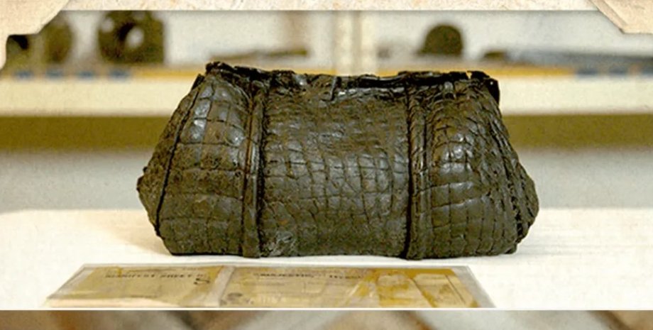 сумка, сумка з крокодила, сумка з крокодилової шкіри, титанік, титанік, титанік подробиці катастрофи, загибель титаніка