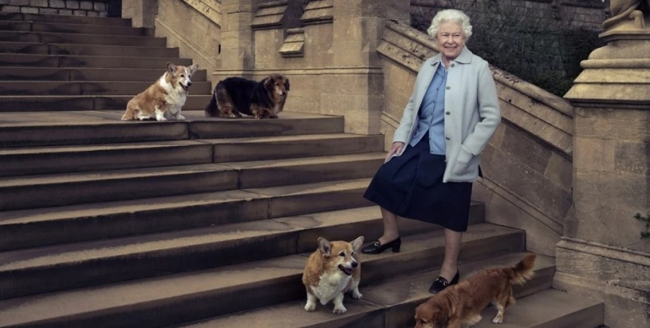 Королева Єлизавета, коргі, собаки