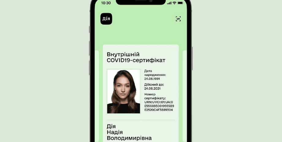 Сертификат вакцинации, полиция, программа, карантин