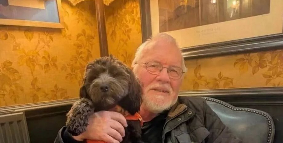 велика британія, лист, пенсіонер, собака, прогулянки із собаками