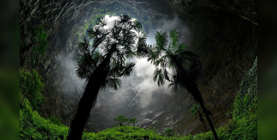 карстовая воронка, лес, деревья, растения, фото