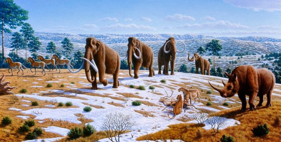 мамонты, кровь, северная Америка, исследование, мегафауна, вымирание, каменные орудия, мастодонты, лошади, бизоны, охота, охотники