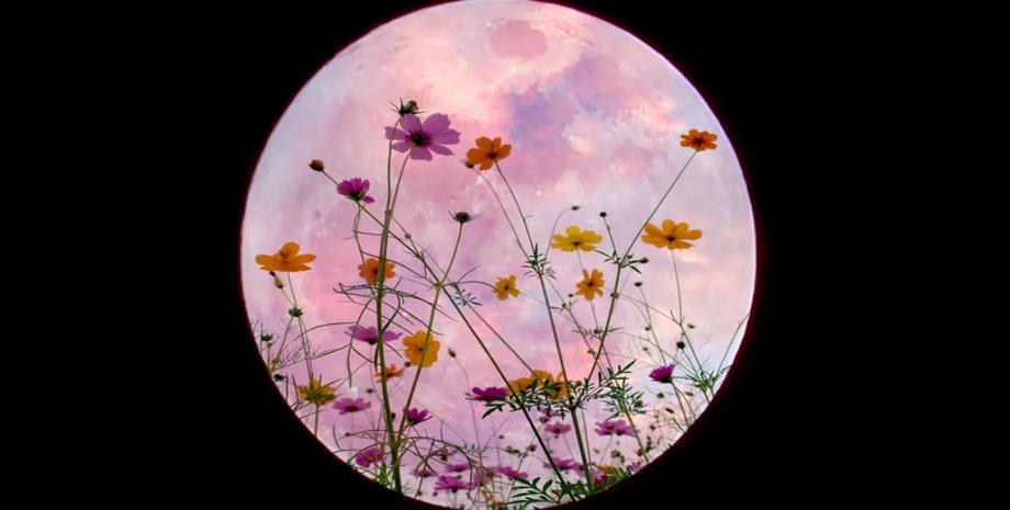 цветочная луна