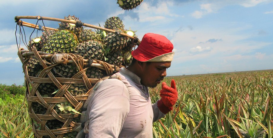 Фото: открытые источники