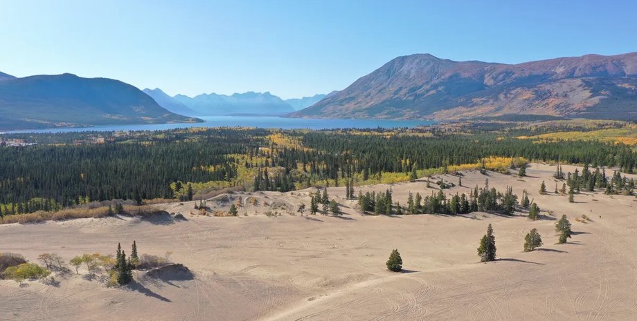 пустеля каркросс