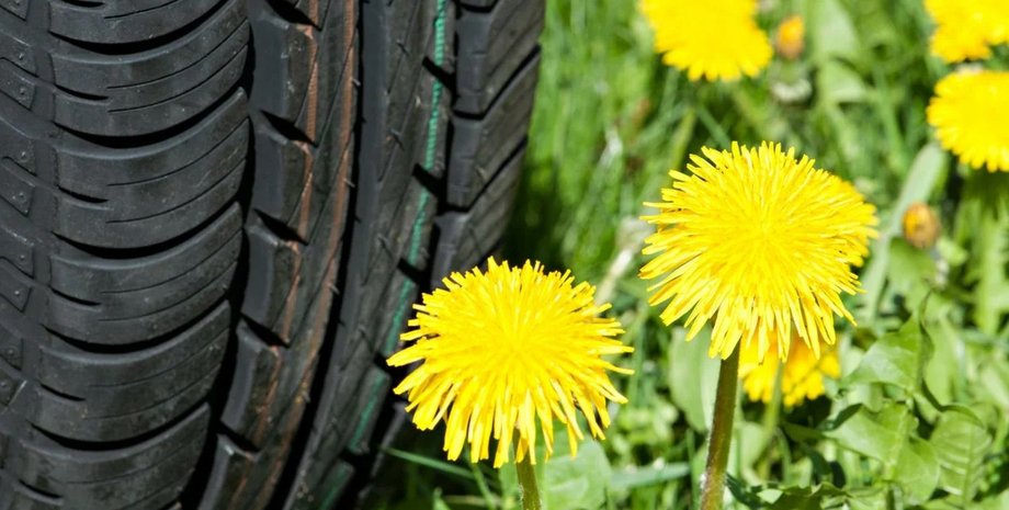 Шины из одуванчиков, автомобильные шины, новые шины, шины GoodYear
