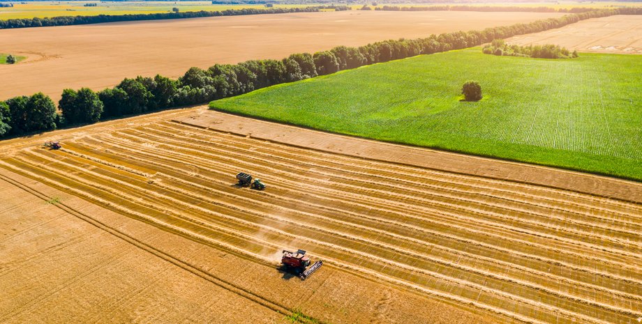 рейтинг самых богатых, самые богатые украинцы, рейтинг Фокус богатые