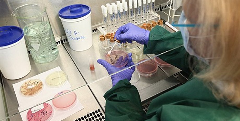 Фото: Getty Images/Fotobank