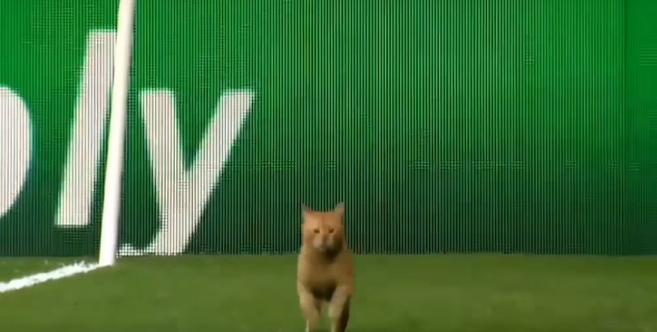 Скриншот / youtube.com / Soccer Moments HD