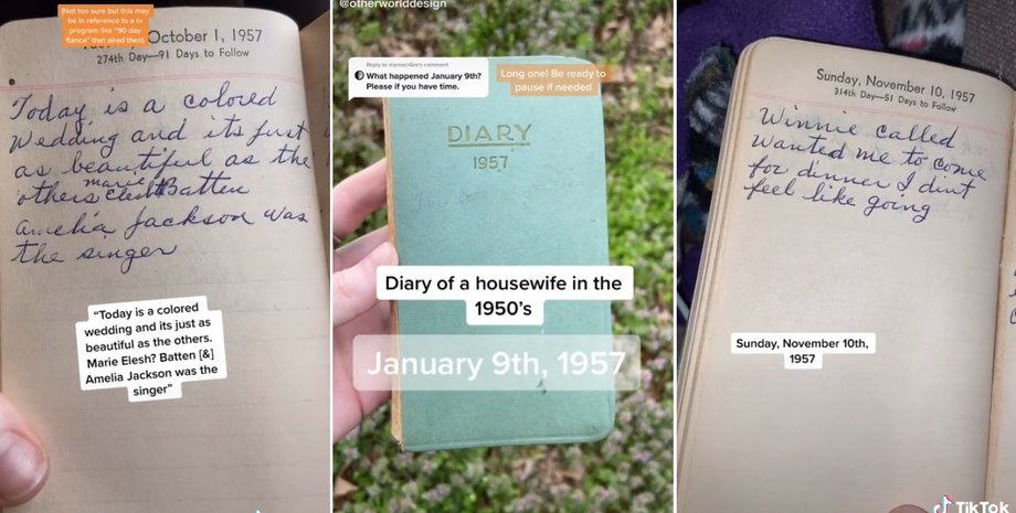 щоденник домогосподарки