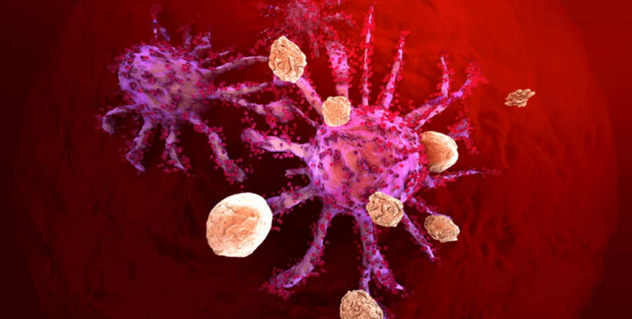 клетка рака, клетки иммунной системы