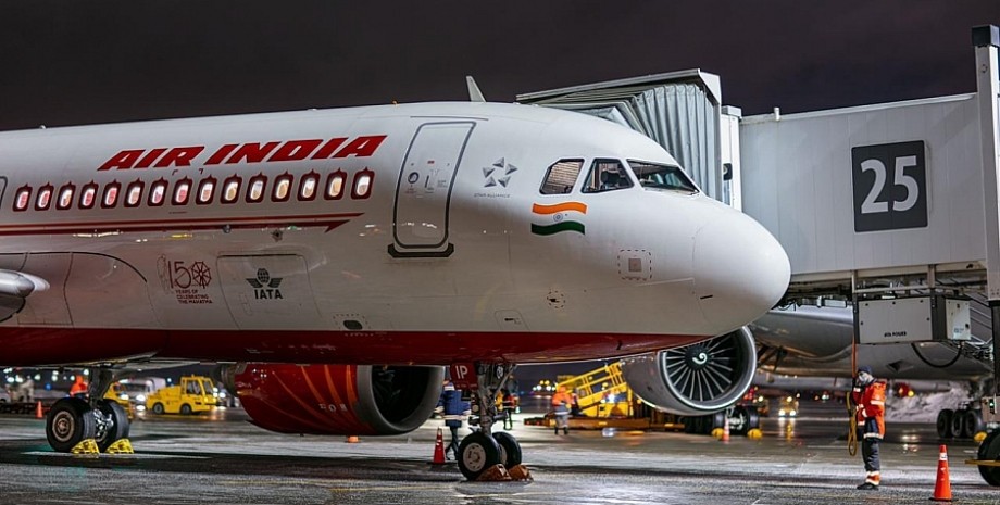 Air India, дели, сша, нью йорк, индия, летучая мышь, самолет, вернулся, борт, аэропорт, вылет