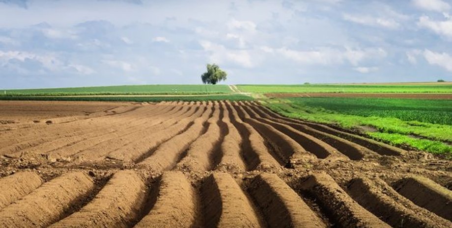 Фото: Цензор.НЕТ