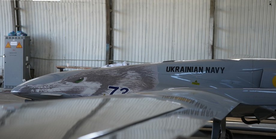 байрактары в украинской армии