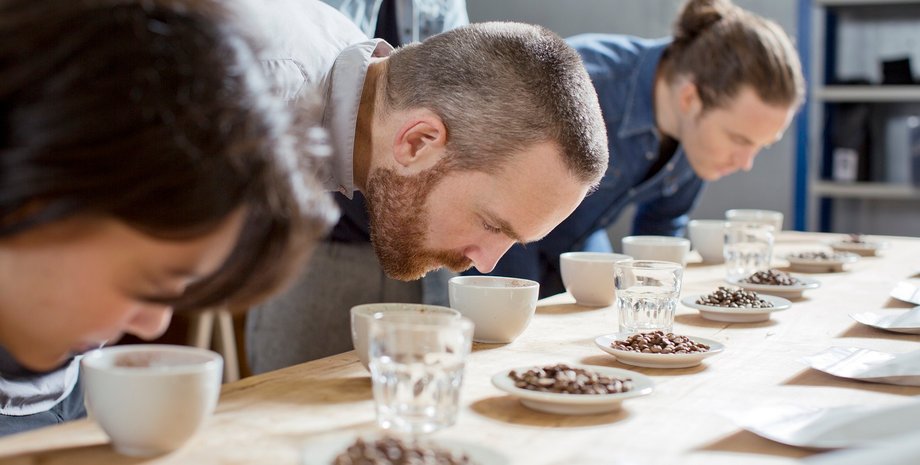 Фото: WayUp Productions/Getty Images