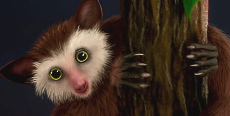 примат, последний примат, примат Экгмовечашала