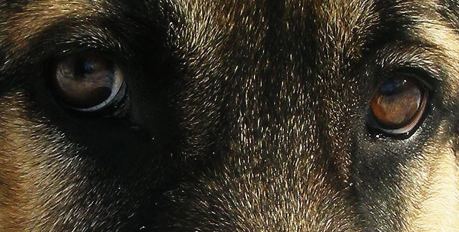 Фото: vboyarke.narod.ru