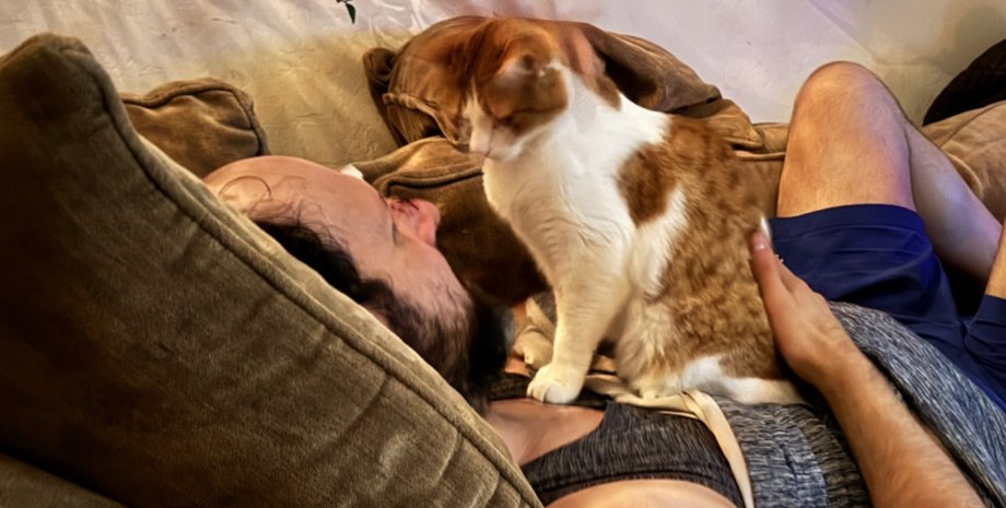 Рыжий кот сидит на груди хозяина и внимательно смотрит на него