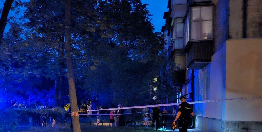 Киев, Нивки, граната, взрыв, полиция