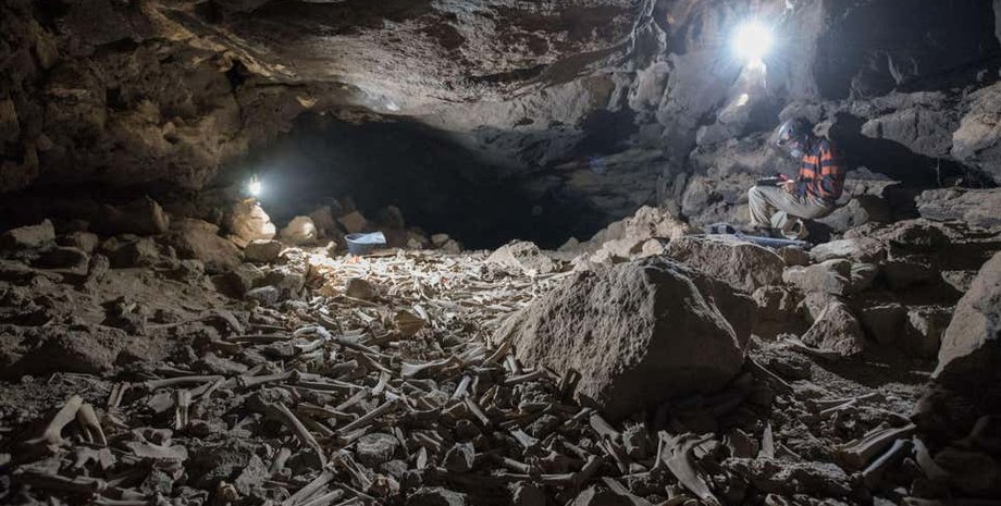Печера Умм-Джірсан, саудівська аравія, печера кісток, кістки, гієни