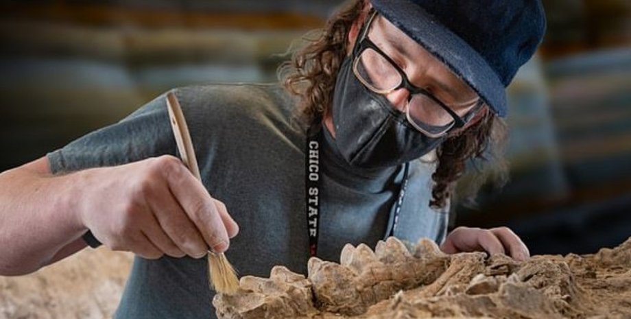 Зубы мастодонта