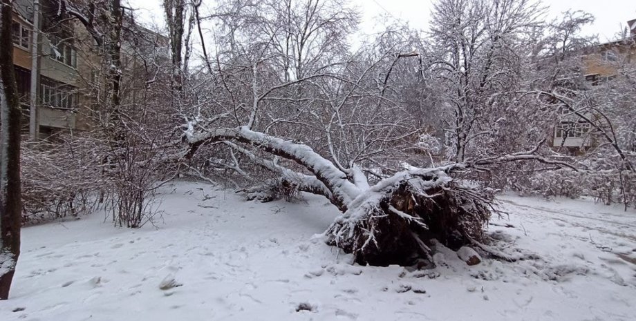 Снегопад в Одессе