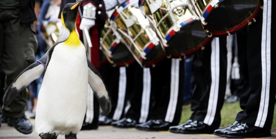 Фото: Getty Images